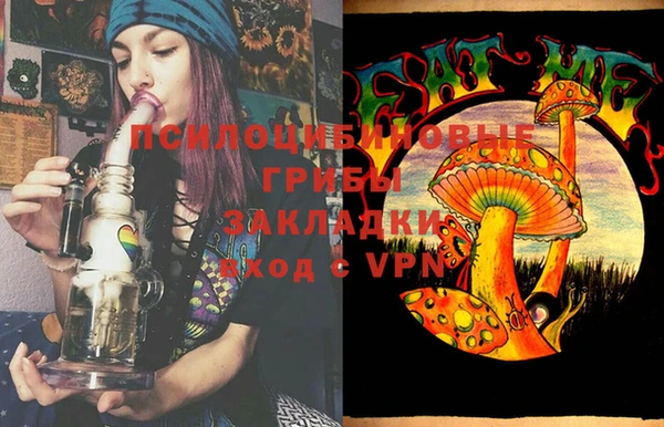 винт Армянск