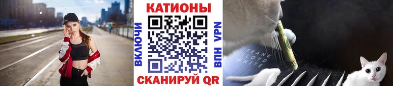 MEGA вход Лихославль МЯУ-МЯУ VHQ